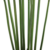 Artificial Multi Stem Hawaii Palm 190cm - Top-Down View