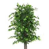 Artificial Ficus Tree 180cm Nearly Natural UV Resistant - Front View
