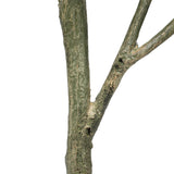 Artificial Lemon Tree (Potted) with Lemons 150cm - Top-Down View
