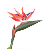 Artificial Bird Of Paradise Plant 150cm (Red Flowers) - Rear View