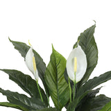 Artificial Spathiphyllum Peace Lily Plant with White Flowers 60cm - Front View