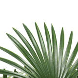 Artificial Wide Leaf Fan Palm Tree 90cm - Side View