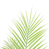 Artificial Modern Bushy Areca Fern Tree 120cm - Side View