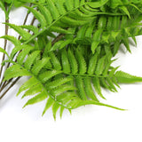 Artificial Hanging English Fern (Two-Tone) Foliage UV Resistant 80cm - Top-Down View