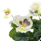 Mixed White Flowering Potted Artificial Pansy Plants 25cm - Side View
