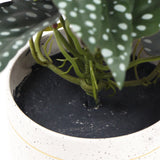 Artificial Bergonia Plant In Decorative Bowl 30cm - 45-Degree Angle