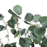 Artificial Eucalyptus Tree (Red Box Eucalyptus Polyanthemos) 150cm - Top-Down View