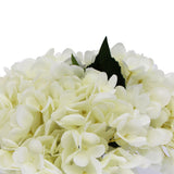 Premium Faux Hydrangea With Glass Vase (Artificial Flowering White Hydrangea) 23cm - Front View