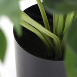 Dense Potted Artificial Split Philodendron Plant With Real Touch Leaves 50cm - Top-Down View
