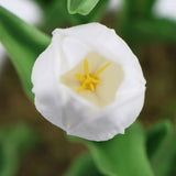 Flowering White Artificial Tulip Plant Arrangement With Ceramic Bowl 35cm - 45-Degree Angle