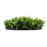 Slimline Artificial Green Wall Disc Art 80cm Mixed Green Fern & Ivy (Modern Black) - Side View