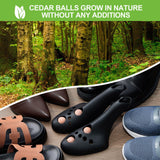 Large Black Shoe Stretcher with Cedar Wood Balls Size EUR 41-46 (Men's US 10-13 Women's 11.5-14.5) - Side View