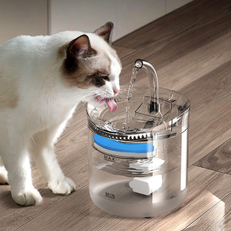 Beginner Version Pet Water Fountain with USB Interface (Excluding Plug) and Filter Set  Transparent Design