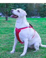 Reflective Dog Harness with Leash, No-Pull Vest Harness for Dogs, Adjustable Dog Vest with Handle, Walking Training Pet Harness xs size - Rear View