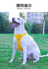 Reflective Dog Harness with Leash, No-Pull Vest Harness for Dogs, Adjustable Dog Vest with Handle, Walking Training Pet Harness xs size - Side View