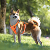 Reflective Dog Harness with Leash, No-Pull Vest Harness for Dogs, Adjustable Dog Vest with Handle, Walking Training Pet Harness L size - Side View
