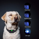 Advanced Remote Dog Training Collar with 99 Adjustable Levels,LCD Display,Beep,Vibration,and Shock Modes - Rear View
