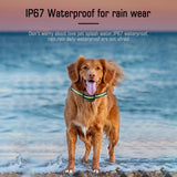 Reflective Dog Collar with Adjustable Strap and Durable Buckle,High Visibility for Night Safety - Front View