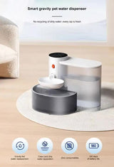 Smart Pet Water Dispenser - Tilted Design, Fresh Water Supply, Automatic Water Bowl for Cats and Dogs - Top-Down View