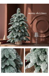 55cm Frosted Mini Christmas Tree – Snow-Covered Indoor Holiday Decoration - Side View
