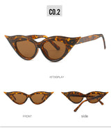 Retro Cat-Eye Sunglasses - Stylish Leopard Vintage Frames for Women - Front View