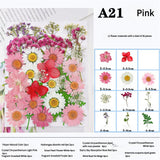 Pressed Dried Flower Craft Kit - Mixed Color Floral Collection for DIY Projects(A21 Pink)