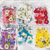 Pressed Dried Flower Craft Kit - Mixed Color Floral Collection for DIY Projects(A21 Pink) - Front View