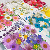 Pressed Dried Flower Craft Kit - Mixed Color Floral Collection for DIY Projects(A21 Pink) - Side View