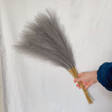 20 sticks Natural Dark Gray Pampas Grass Bouquet-21.65 Fluffy Dried Pampas for Home Decor and Events