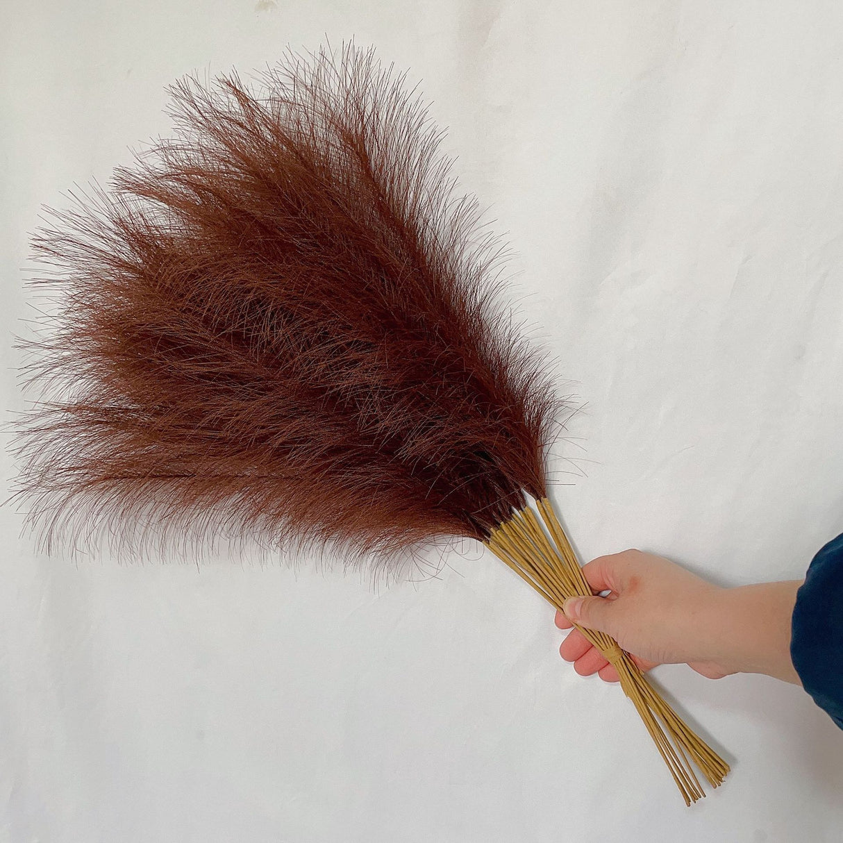 20 sticks Coffee Pampas Grass Bouquet-21.65 Fluffy Dried Pampas for Home Decor and Events