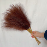 20 sticks Coffee Pampas Grass Bouquet-21.65 Fluffy Dried Pampas for Home Decor and Events