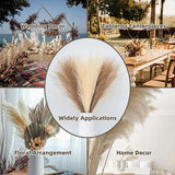 20 sticks Claret Pampas Grass Bouquet-21.65 Fluffy Dried Pampas for Home Decor and Events - Side View