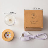 Luminous 3D Dandelion Crystal Ball Beech Wood Stand Base Preserved Flower Sphere Ball Desktop Ornaments Bithday Christmas Gifts - Side View