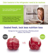 Purple Round Plastic Food Storage Containers Set - Microwave-Safe Bento Boxes with Airtight Lids for Kitchen and Fridge - Top-Down View