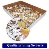 (2 PCS) 1000-Piece Starry Sky Puzzle - High Difficulty Stress-Relief Educational Toy - Top-Down View