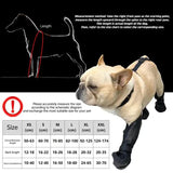 S Waterproof Non-Slip Dog Shoes - All-Season Dog Boots for Protection, Anti-Slip Pet Footwear, Durable and Comfortable - Top-Down View