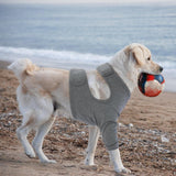 XXXL Pet Front Leg Protective Sleeve - Elastic Dog Leg Guard for Post-Surgery Protection, Prevents Licking and Biting - Rear View