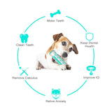 Blue Dog Squeaky Toys For Aggressive Chewers, Tough Toothbrush Dog Chew Toy, Nearly Indestructible Rubber Toys For Pet Training, Teeth Cleaning, Playing And Chewing For Medium & Large Breeds - Rear View