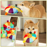 3 pcs frog pattem Plush Dog Chew Toy with Sound | Interactive Frisbee for Teeth Grinding & Play | Durable Non-Toxic Pet Toy - Front View