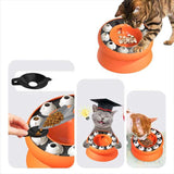 Orange Interactive Slow Feeder Cat Bowl - 15° Tilt Design, Puzzle Feeder for Healthy Eating - Top-Down View