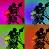 UFO RGB Sunset Projection Lamp with 16 Colors and Remote Control - Black - 45-Degree Angle