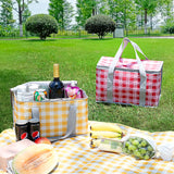 2PCS Red Insulated Picnic Lunch Bag with Checkered Design, Thermal Storage for Hot and Cold Items - Side View