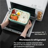 2 PCS Green Multipurpose Lunch Box with Spoon and Fork - Top-Down View