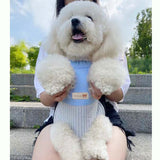 Size S Blue-Gray Patchwork Pet Backpack Dog Carrier Cat Travel Bag - Breathable, Portable & Hands-Free Four-Leg Design - Rear View