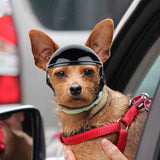 Size M Black Pet Safety Helmet - Stylish Protective Headgear for Dogs - Close-Up Angle