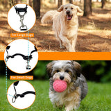 Grey Reflective Pet Waist Bag with Hands-Free Leash for Night Safety - Adjustable Waist Pack with Detachable Pouches - Top-Down View