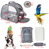 Stylish Leaf Print Clear View Bird Carrier - Portable Travel Cage with Perch & Tray for Parrots, Cockatiels & Small Pets - Rear View