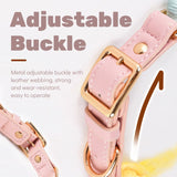 Grey Hand-Woven Rainbow Cotton Rope Dog Leash and Collar Set - Adjustable Veg-Tanned Leather Trim with Heavy Duty Metal Hardware - 150cm Training Lead and S Size Collar - Front View