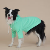 9XL Green Cute Dog Hoodie with Adjustable Drawstring - Available in Various Sizes - Front View