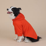 XL Orange Cute Dog Hoodie with Adjustable Drawstring - Available in Various Sizes - Front View